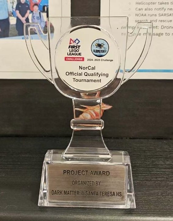 Innovation Project Award trophy
